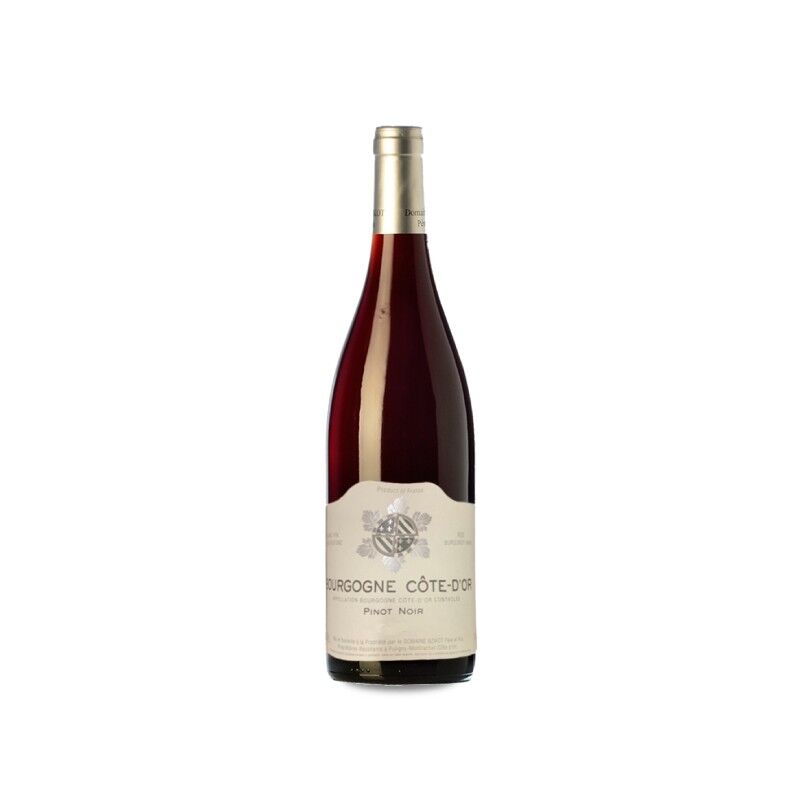 Domaine Sylvain Bzikot Bourgogne Cote D'Or Pinot Noir 2020
