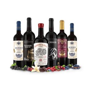 Probierpaket Rotwein-Genuss von Javier Rodriguez