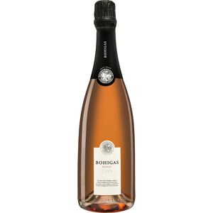 Bohigas Cava Rose 12% Vol. Trocken aus Spanien