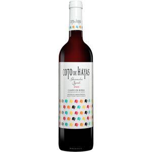 Aragonesas Coto de Hayas Tinto 2022 13.5% Vol. Rotwein Trocken aus Spanien