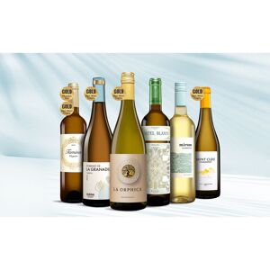 Blanco Favoriten Weinpaket  aus Spanien