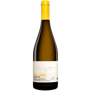 Dominio do Bibei »Lalume« 2020 13.5% Vol. Weißwein Trocken aus Spanien