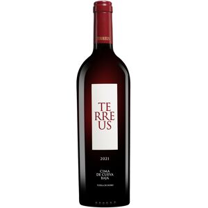 Mauro »Terreus« 2021 14.5% Vol. Rotwein Trocken aus Spanien