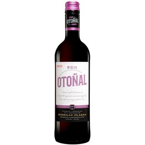 Olarra Otoñal Tinto 2022 13% Vol. Rotwein Trocken aus Spanien