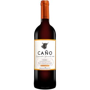 Pagos del Rey Caño 2022 13.5% Vol. Rotwein Trocken aus Spanien