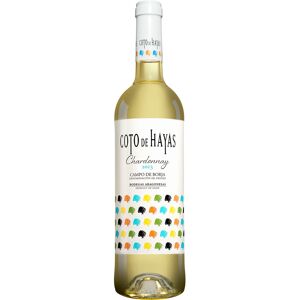 Aragonesas Coto de Hayas Blanco 2023 13% Vol. Weißwein Trocken aus Spanien