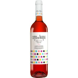 Aragonesas Coto de Hayas Rosado 2023 13.5% Vol. Roséwein Trocken aus Spanien