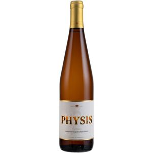 Cantine Menhir Physis bianco IGT Salento 2019