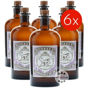 Black Forest Distillers 6 x Monkey 47 Schwarzwald Dry Gin (47 % vol., 3,0 Liter)