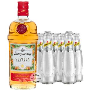 Tanqueray Flor de Sevilla Gin & Schweppes Dry Tonic Set (41,3 % Vol., 1,9 Liter)