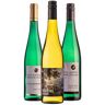 Weingut Richard Böcking Richard Böcking 2021 Riesling-Probierpaket