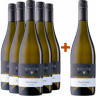 Weingut Rieger Rieger 2022 5+1 Chardonnay-Paket trocken