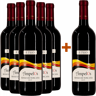 Podere il Fitto 2021 5+1 Paket Ampelos Toscana IGP