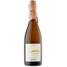 Can Descregut Memòria Brut Nature 2018 - 75cl