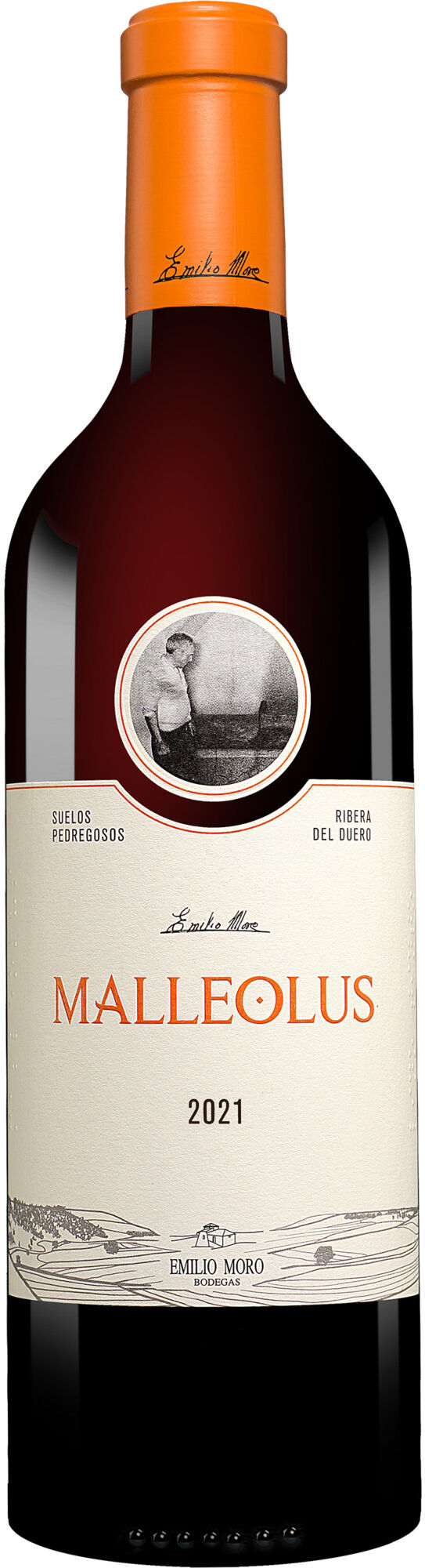 Emilio Moro »Malleolus« 2021 14.5% Vol. Rotwein Trocken aus Spanien