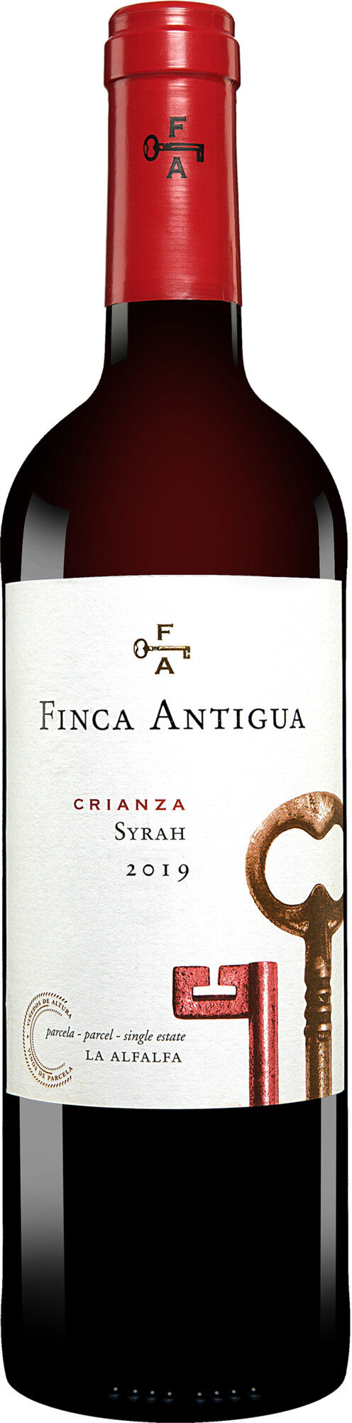 Finca Antigua Syrah 2019 14% Vol. Rotwein Trocken aus Spanien