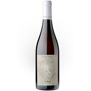 Anfora Bianco Terre Siciliane IGT 2019 - Porta del Vento