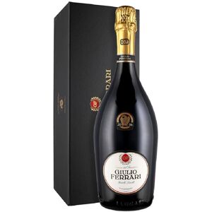 Acer Trento DOC Giulio Ferrari Riserva del Fondatore Extra Brut Millesimato 2009 - Ferrari [Magnum, Astucciato]