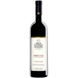 Barbera d'Alba DOC 2021 - Paolo Scavino