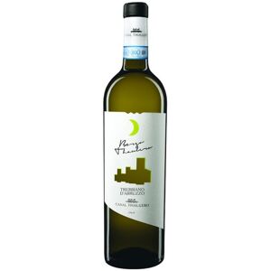 Trebbiano d'Abruzzo DOC Borgo Thaulero 2022 - Casal Thaulero