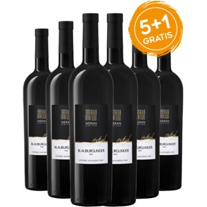 Pinot Nero Alto Adige DOC Festival - Cantina Merano [5+1 gratis]