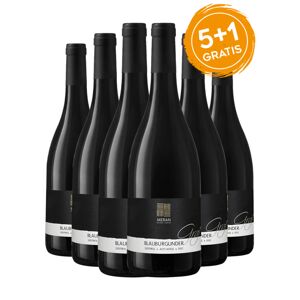Pinot Nero Alto Adige DOC Graf 2019 - Cantina Merano [5+1 gratis]