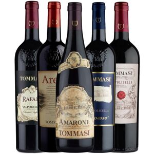 Amarone + Ripasso + Rafael + Arele + Valpolicella Classico - Tommasi