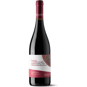 Nero d'Avola Sicilia DOP Il Manto BIO 2022 - Rallo