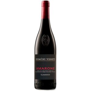 Amarone della Valpolicella Classico DOCG 2020 - Negrar Domini Veneti