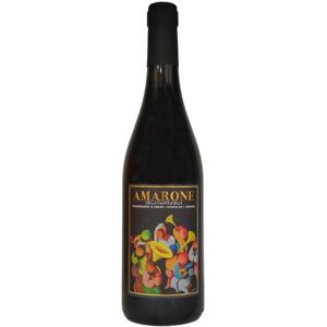 Amarone della Valpolicella DOCG 2019 - FNA