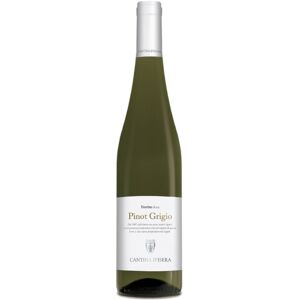 Pinot Grigio Trentino DOC 2023 - Cantina D'Isera