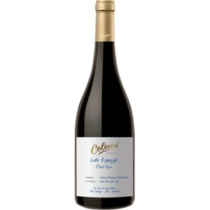 Salta Colomé Altura Máxima Pinot Noir 2020