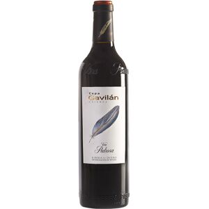 Ribera del Duero Cepa Gavilán Crianza 2019 Magnum