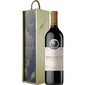 Ribera del Duero Malleolus de Valderramiro 2020 Magnum con Estuche