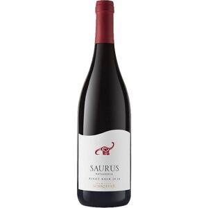 Patagonia Argentina Familia Schroeder Saurus Pinot Noir 2021