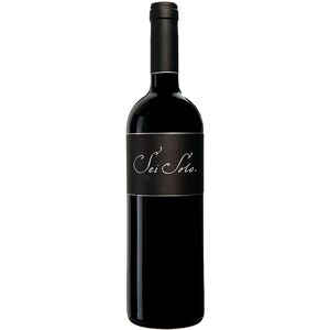 Ribera del Duero Sei Solo 2019 Magnum