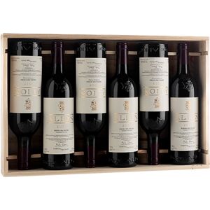 Ribera del Duero Colección Alión con Estuche de Madera (x6)