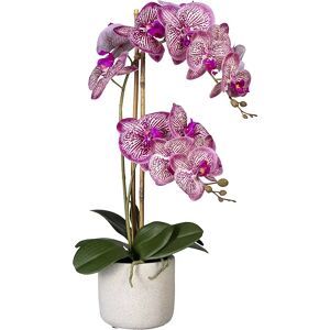 kaiserkraft Phalaenopsis, real touch, en maceta de cemento, gris, rosa