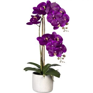 kaiserkraft Phalaenopsis, real touch, en maceta de cemento, gris, lila