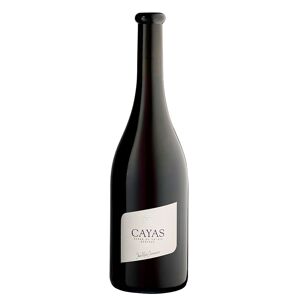 Valais Cayas Syrah Reserva 2016