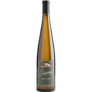 Alsace Schieferkopf Riesling Lieu-dit Berg 2020