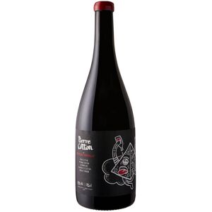 Bourgogne - 1 Côte-de-Brouilly 100% Cotton 2018 Dom. Pierre Cotton 75cl - Publicité