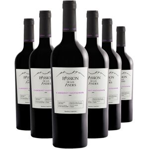 Vins etrangers - 6 Mendoza Cabernet Sauvignon Classico 2020 Passion des Andes 6x75cl - Publicité