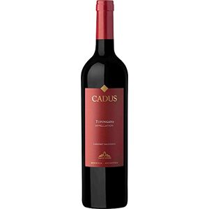Cadus Tupungato Appellation Cabernet Sauvignon (Caisse de 6x75cl) Argentine, vin rouge - Publicité