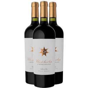 Clos de Los Siete Valle de Uco Rouge 2020 Vin Rouge d'Argentine (3x75cl) - Publicité