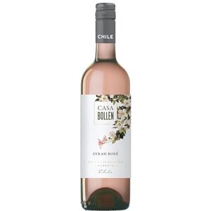 CASA BOLLEN Syrah Rosé, vin rosé du Chili (1 x 0,75L) - Publicité