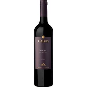 Cadus Chacayes Appellation Malbec (Caisse de 6x75cl) Argentine, vin rouge - Publicité