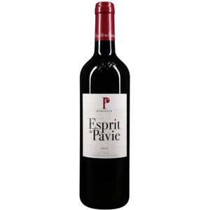 Castel Chateaux Grands Crus Esprit de Pavie Vin Rouge AOP Saint-Emilion Grand Cru classé Millésime 2017 1 bouteille x 75cl - Publicité