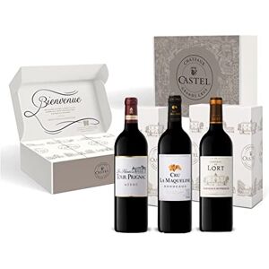 Castel Chateaux Grands Crus Coffret Cadeau Vin Rouge Coffret Bordeaux Dégustation : Les Hauts de Tour Prignac – Cru la Maqueline Château du Lort 3x75cl - Publicité