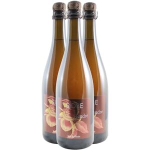 Cidre Sidre Brut Tendre 2021 Domaine Eric Bordelet Vin de Cidres (3x75cl) - Publicité